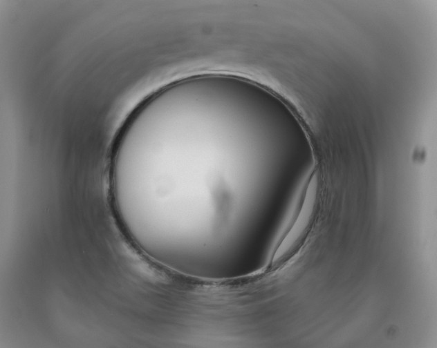 X0000091991511200709201437