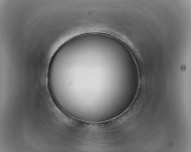 X0000091991512200709201437