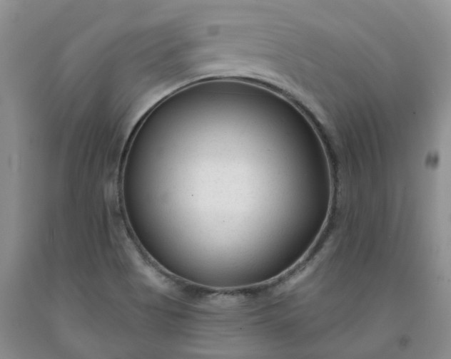 X0000091991513200709201437