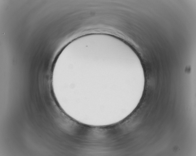 X0000091991514200709201437