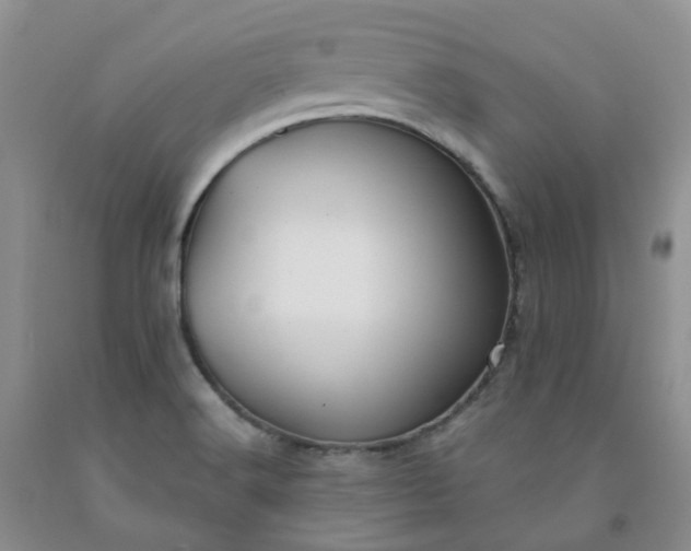 X0000091991516200709201437