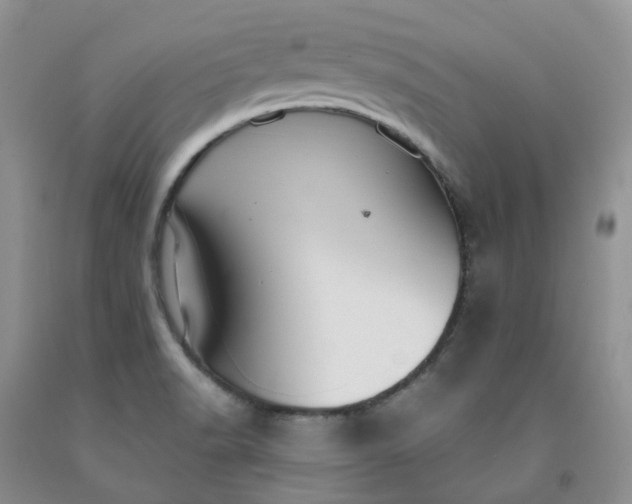 X0000091991518200709201437