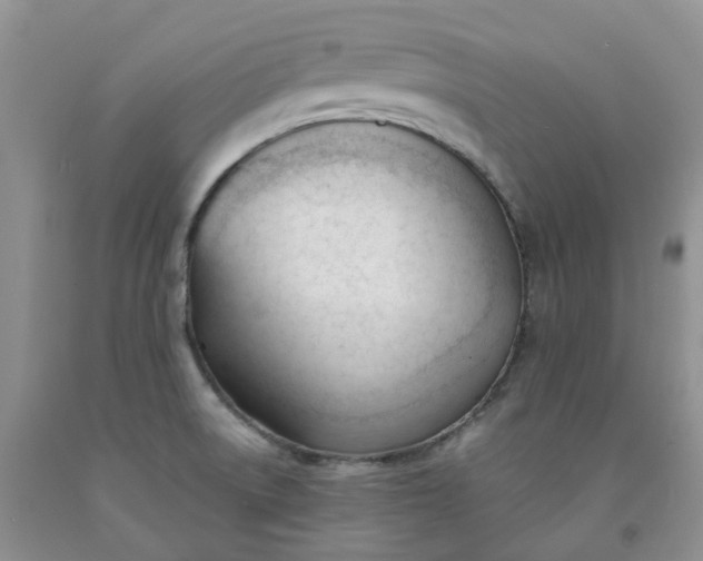 X0000091991522200709201437