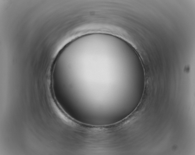 X0000091991523200709201437