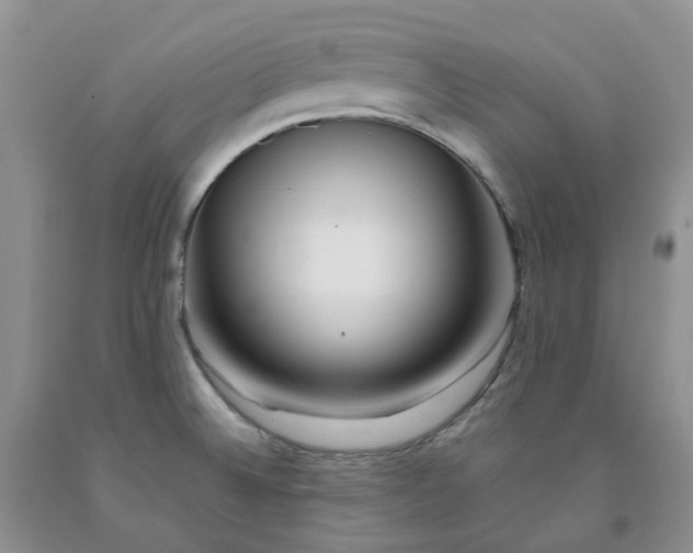 X0000091991524200709201437