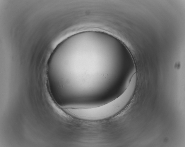X0000091991526200709201437
