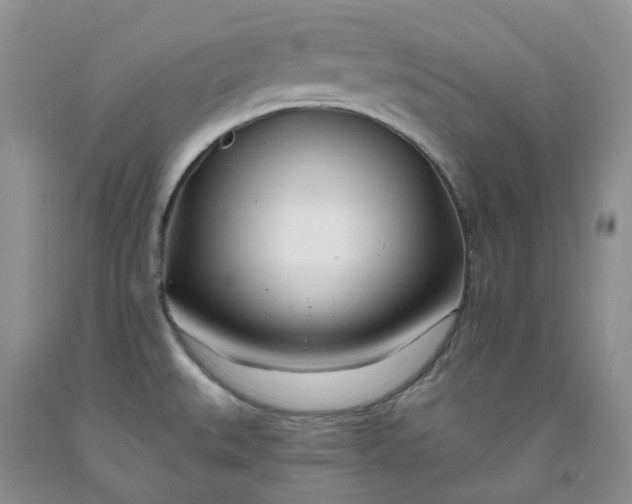 X0000091991527200709201437