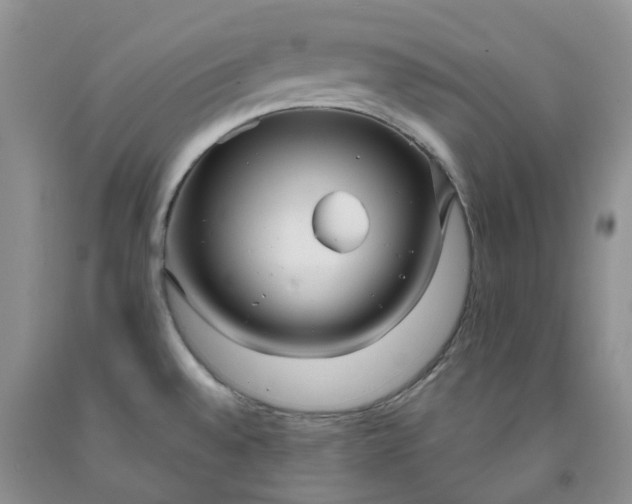 X0000091991528200709201437
