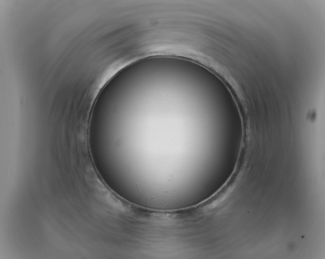 X0000091991529200709201437