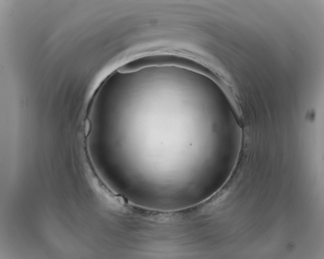 X0000091991530200709201437