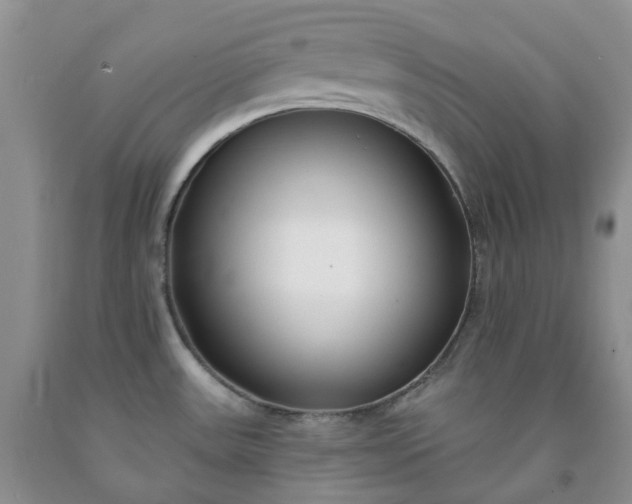 X0000091991531200709201437