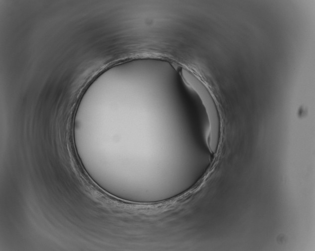 X0000091990001200709271457