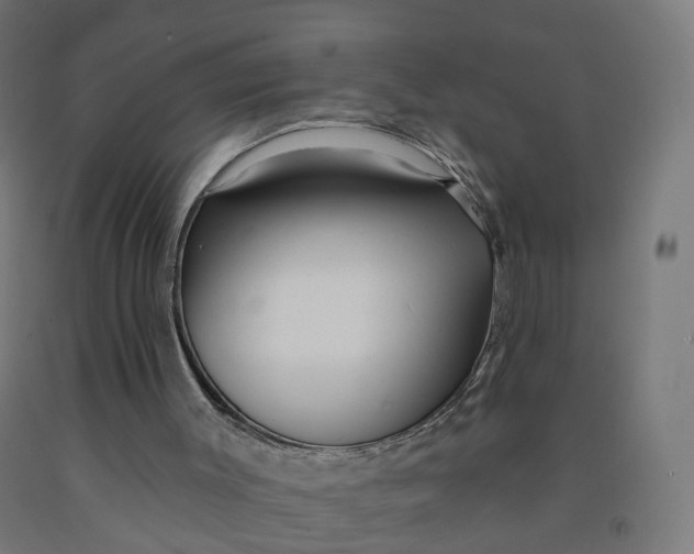 X0000091990003200709271457