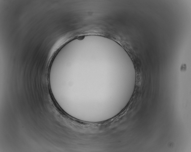 X0000091990004200709271457