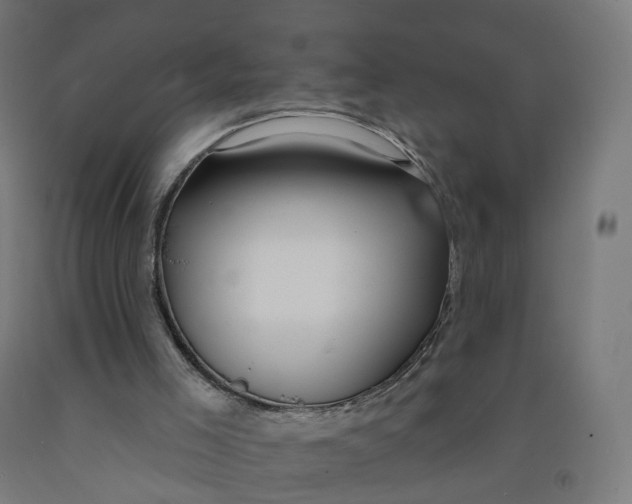 X0000091990005200709271457