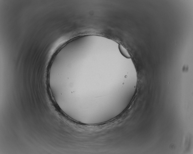 X0000091990006200709271457