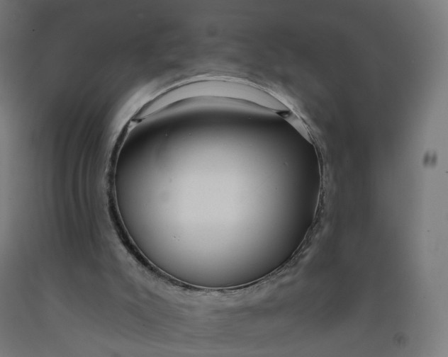 X0000091990007200709271457