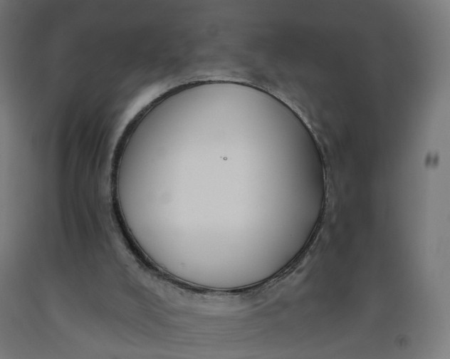 X0000091990008200709271457