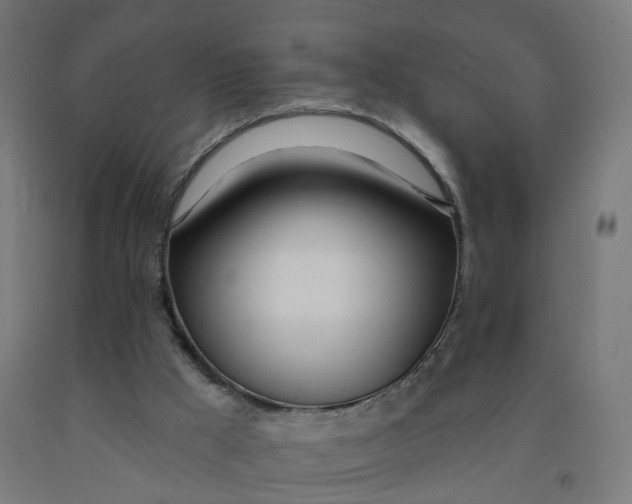 X0000091990009200709271457