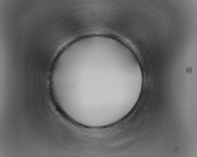 X0000091990010200709271457