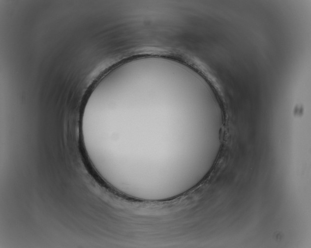 X0000091990011200709271457