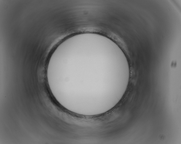 X0000091990012200709271457