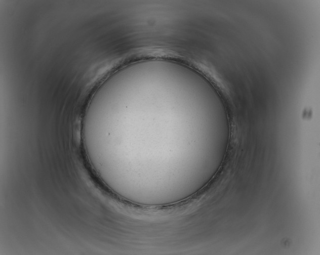 X0000091990014200709271457