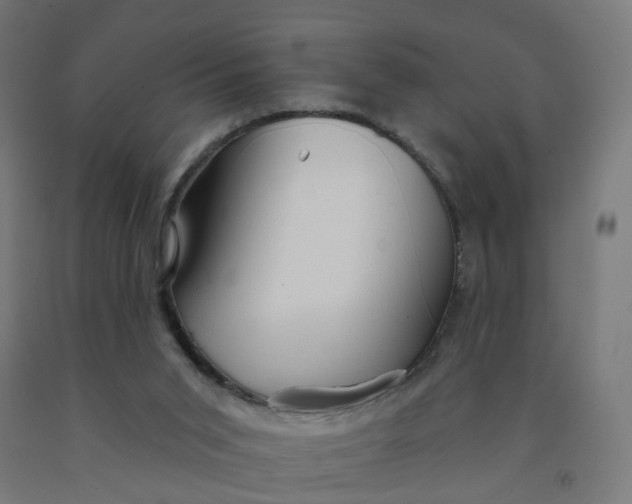 X0000091990015200709271457