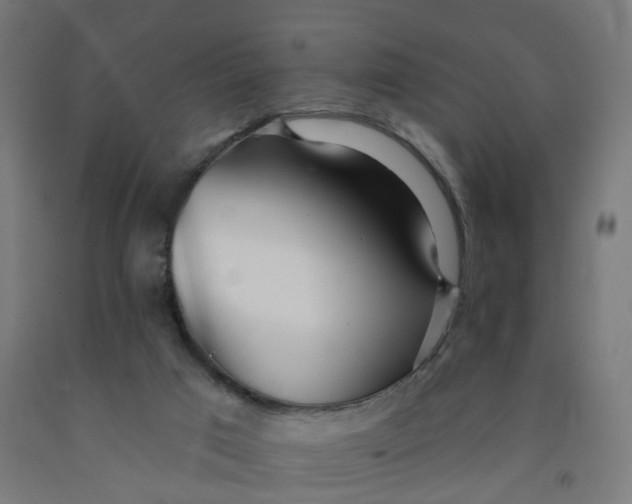 X0000091990017200709271456