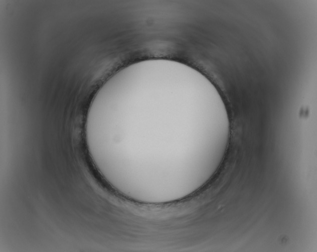 X0000091990018200709271456