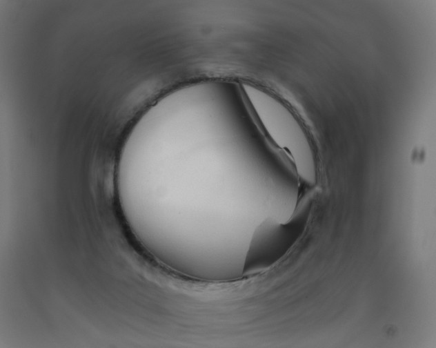 X0000091990019200709271456