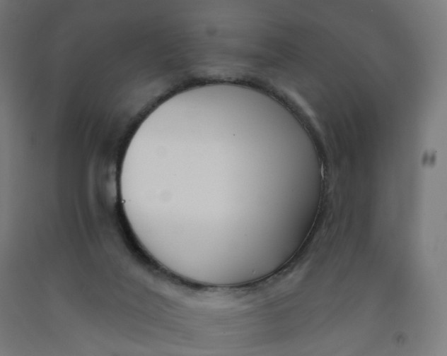 X0000091990020200709271456