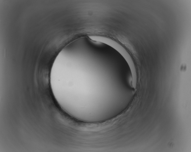 X0000091990021200709271456