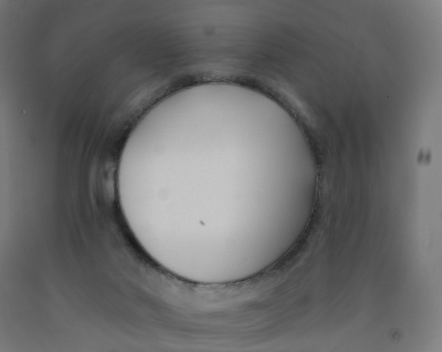 X0000091990022200709271456