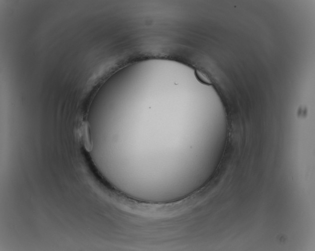 X0000091990023200709271456