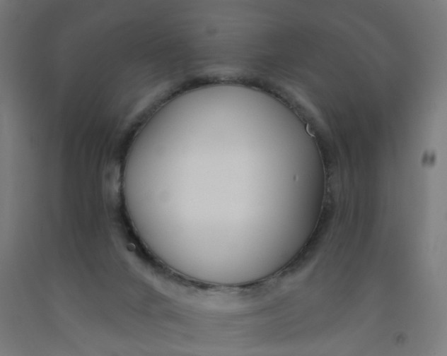 X0000091990024200709271456