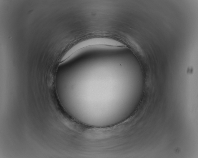 X0000091990025200709271456