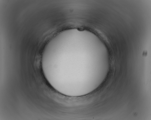 X0000091990026200709271456