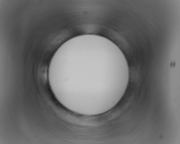 X0000091990028200709271456