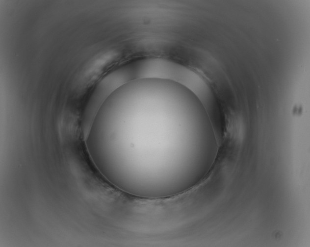 X0000091990029200709271456