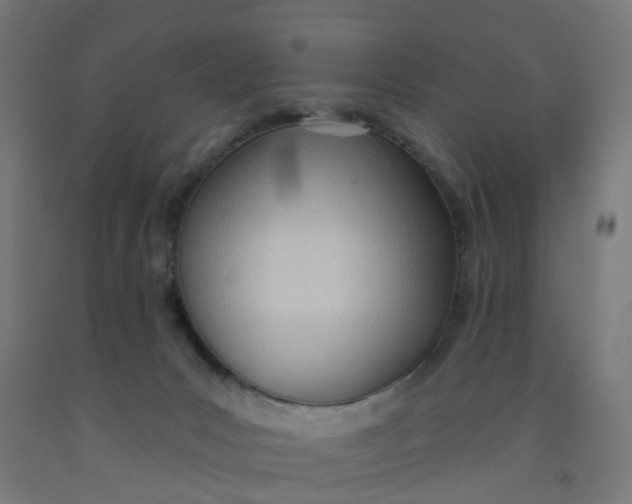 X0000091990031200709271456