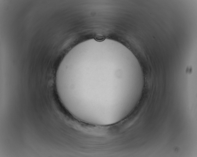 X0000091990032200709271456