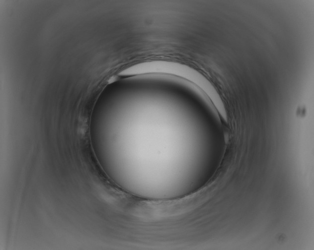 X0000091990033200709271456