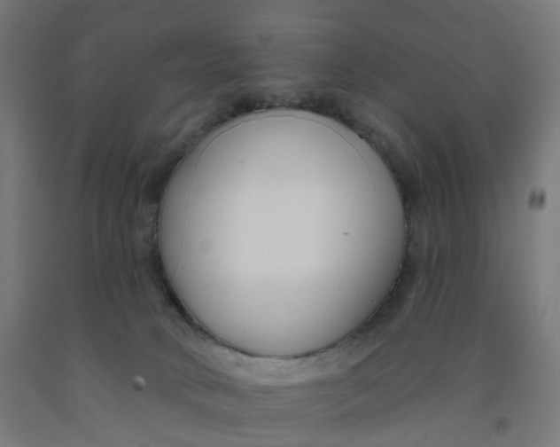 X0000091990034200709271456