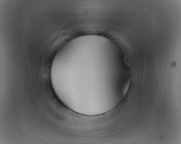 X0000091990035200709271456