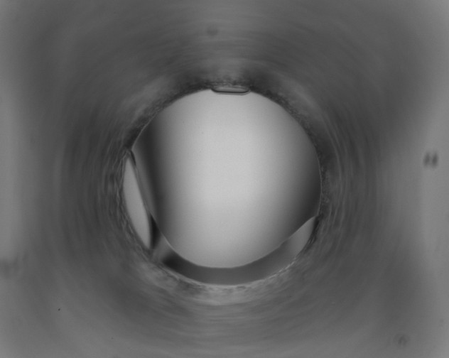 X0000091990037200709271456