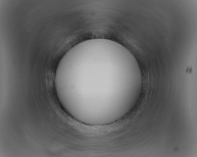 X0000091990038200709271456