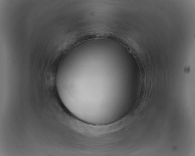 X0000091990039200709271456