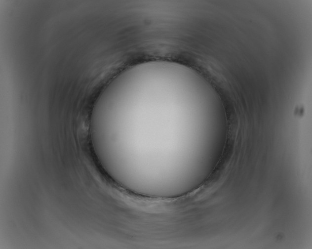 X0000091990040200709271456