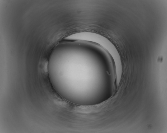 X0000091990041200709271456